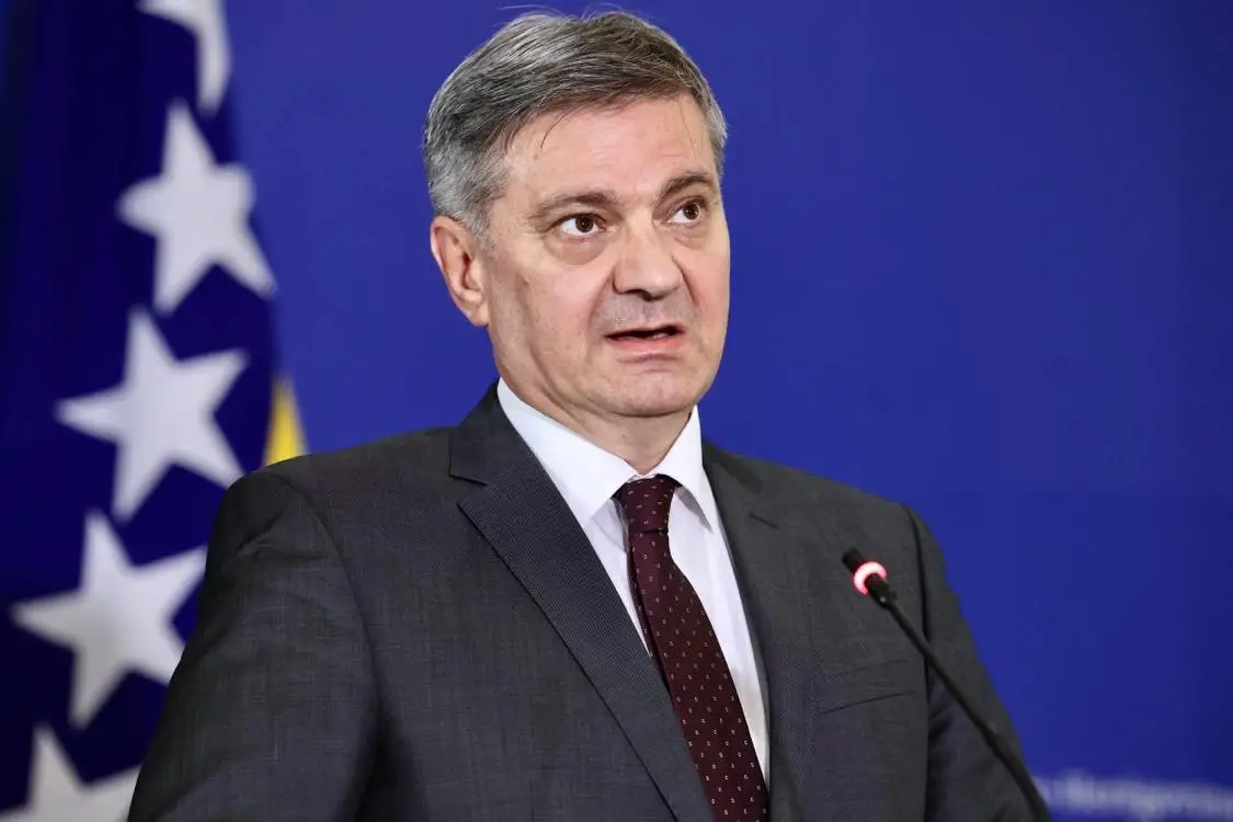 denis zvizdic