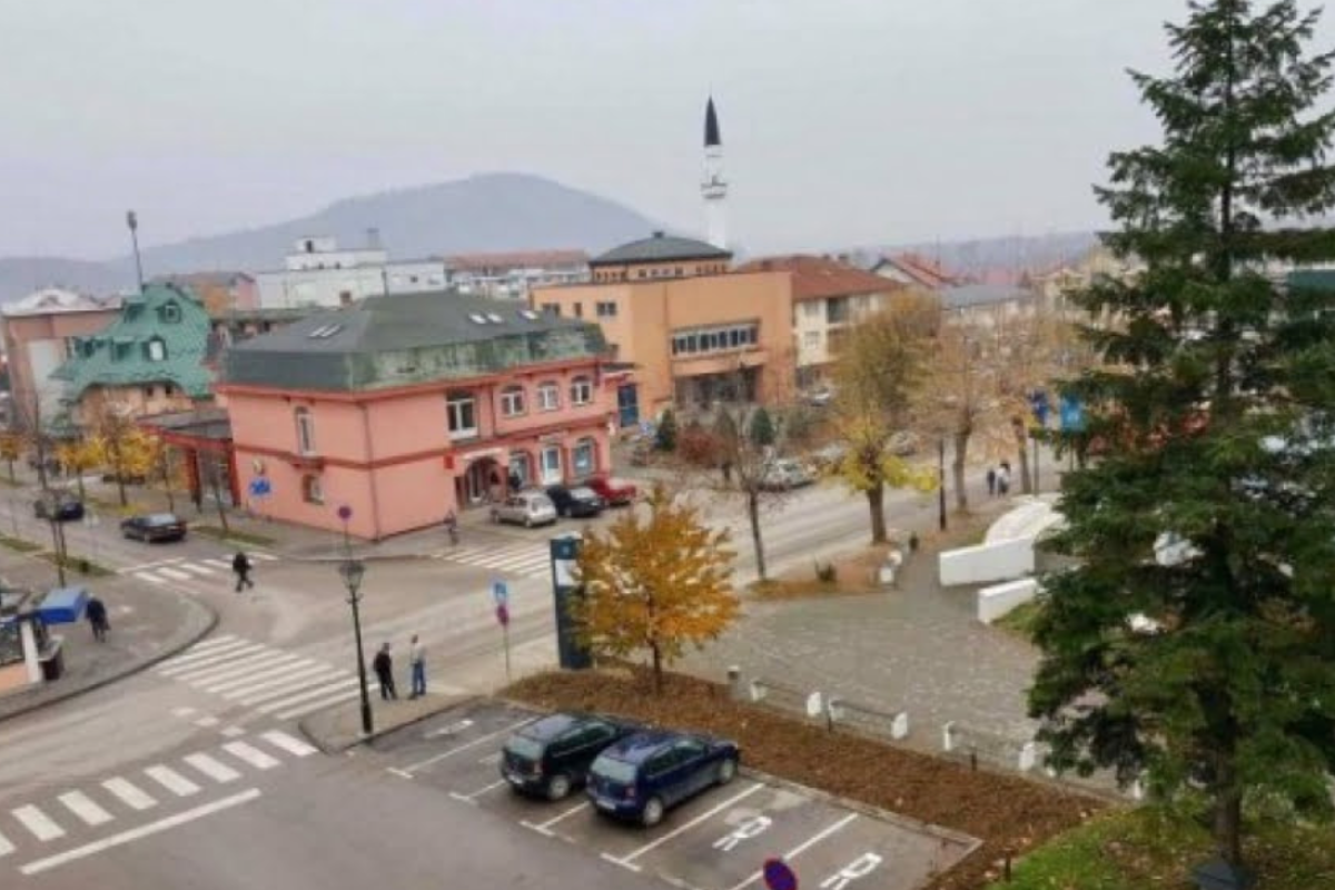 Kalesija-