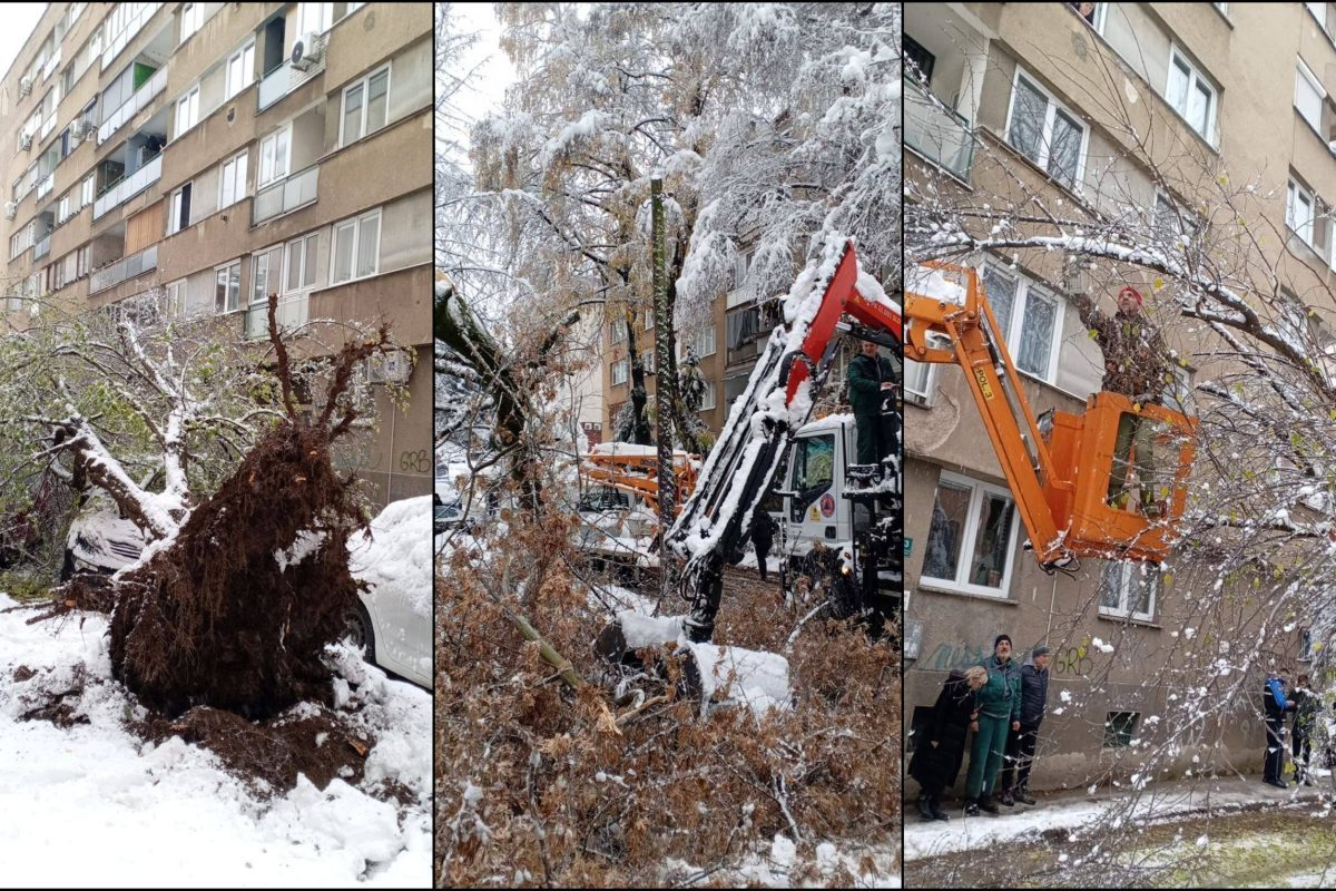 park2-rh9a3rg7217hqxtdjjmmay2jec554xdd7lcth85iyo